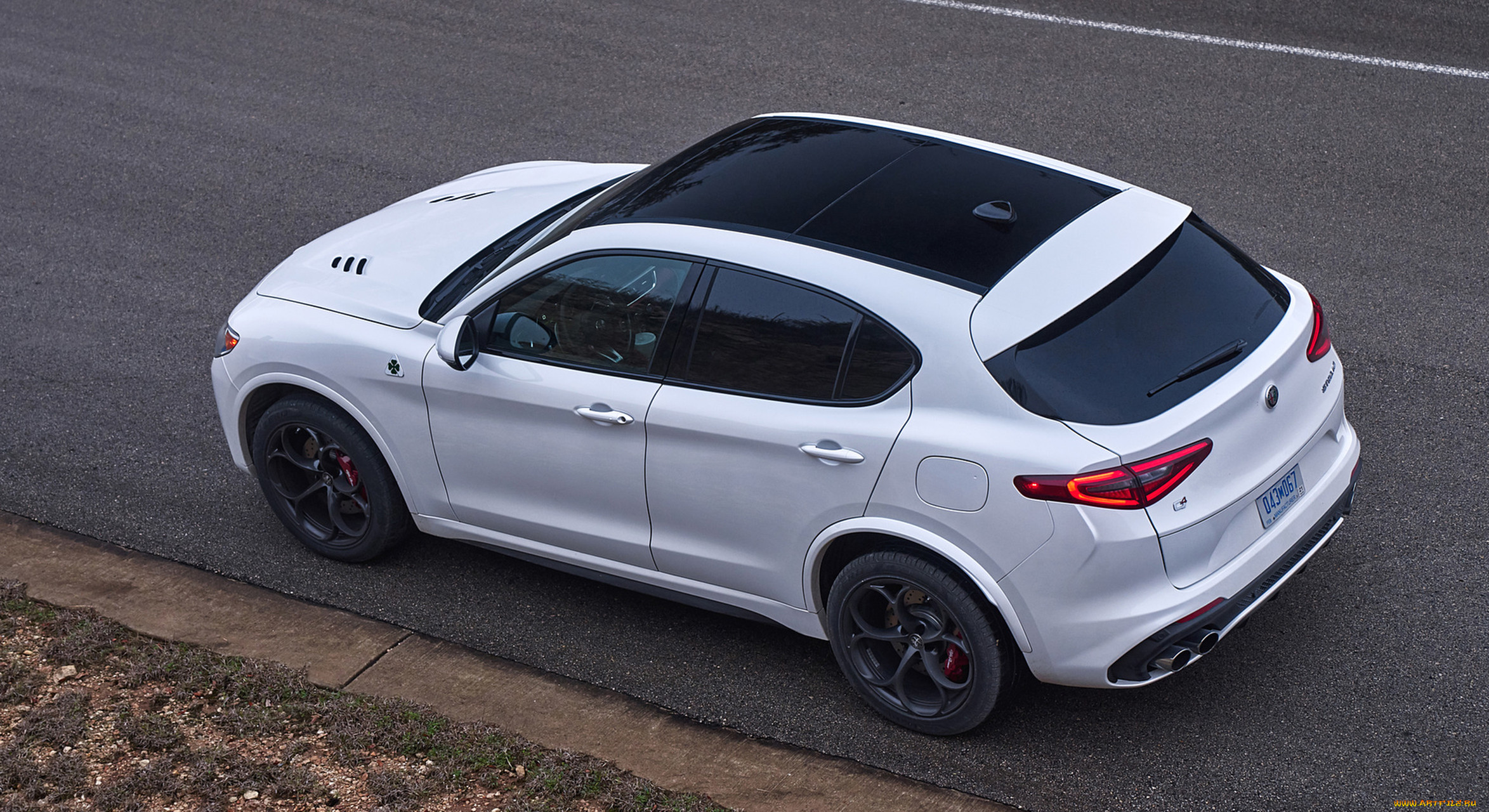 alfa romeo stelvio quadrifoglio 2018, , alfa romeo, stelvio, alfa, romeo, , 2018, quadrifoglio